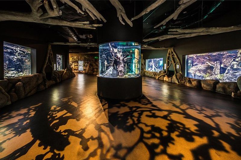 Billets pour l'aquarium de Cairns