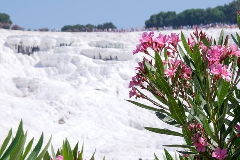 Excursion à Pamukkale depuis Selçuk