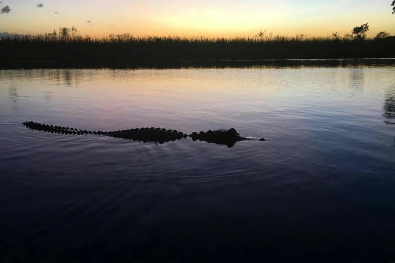 Tour de nuit au parc national des Everglades avec promenade en hydroglisseur