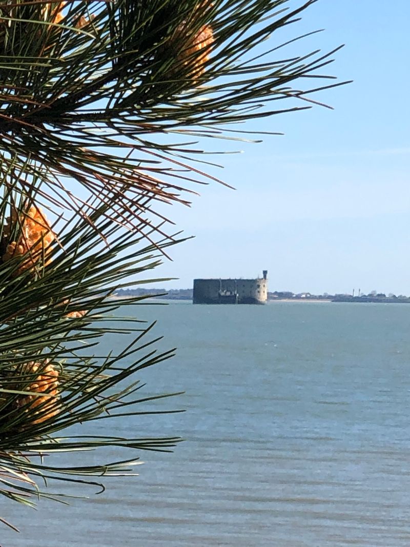 Billet Location de vélos chez OLERON FUN SPORTS