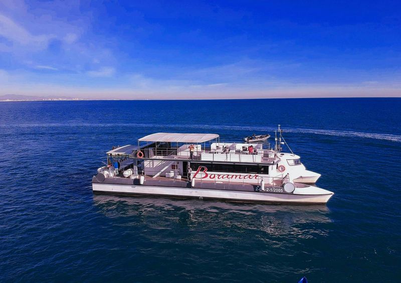 Excursion en catamaran sur les plages de Malvarrosa et de Patacona avec boisson