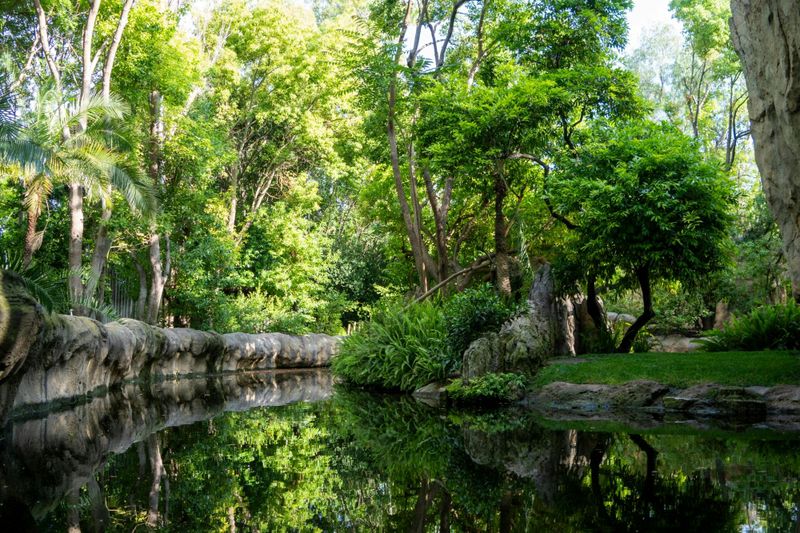 Billet d'entrée au Bioparc Valencia