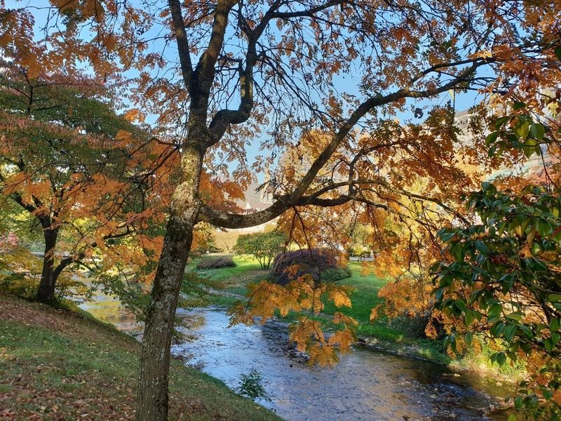Billet Visite audio autoguidée historique de Baden-Baden
