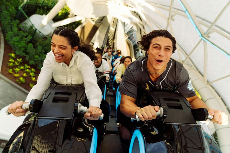 Billet standard 1 jour pour Walt Disney World Resort