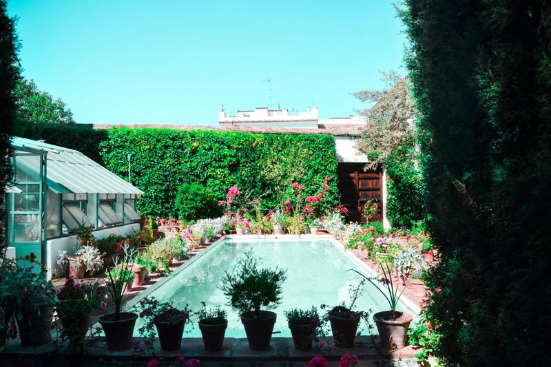 Visite guidée du Palais de Viana et de ses cours intérieures