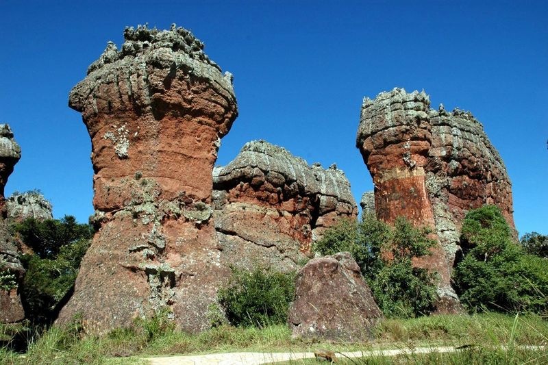 Billet Visite guidée de Vila Velha