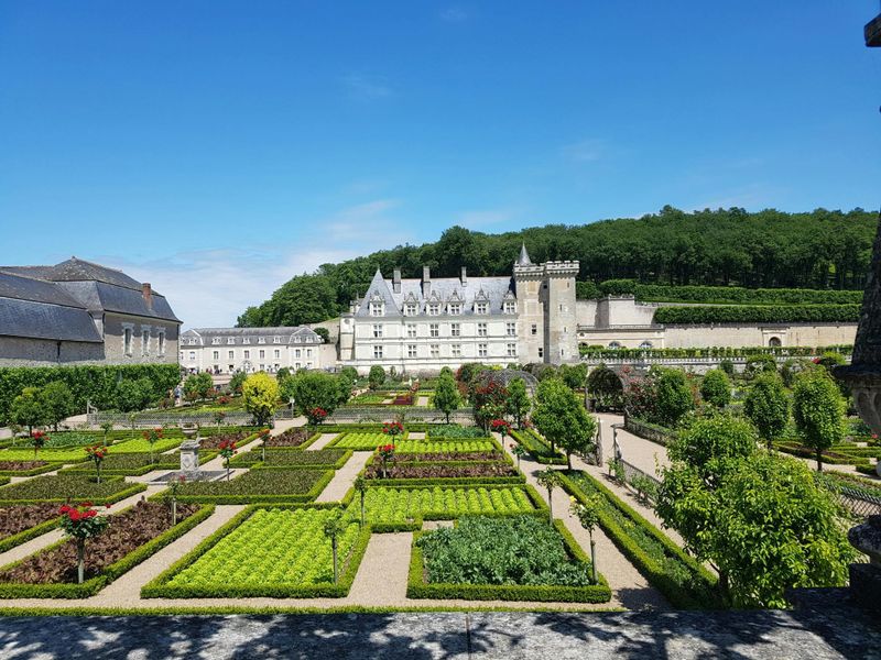 Visite guidée des châteaux de Villandry et d'Azay-le-Rideau au départ de Tours