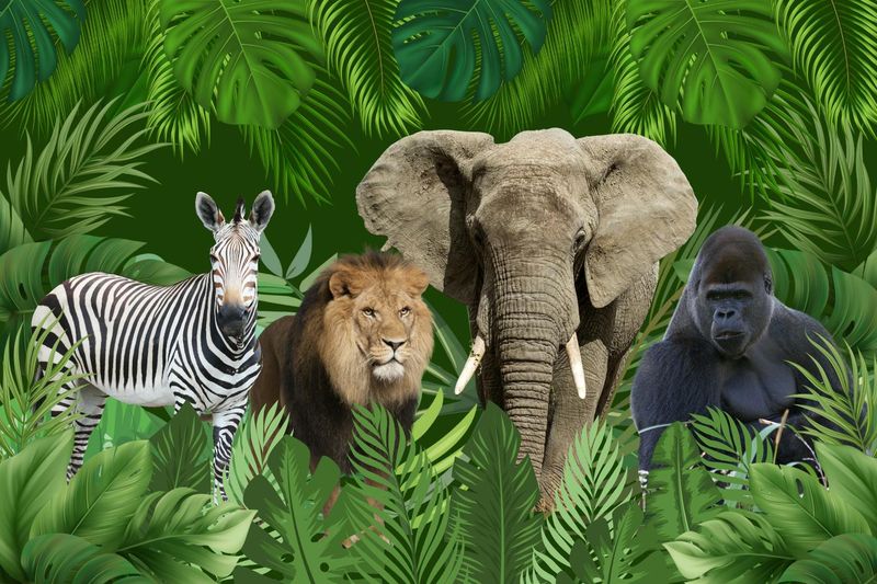 Billet d'entrée au zoo de Varsovie