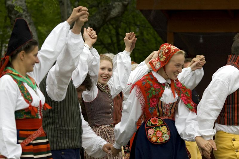 Billet d'entrée au musée en plein air de Skansen à Stockholm