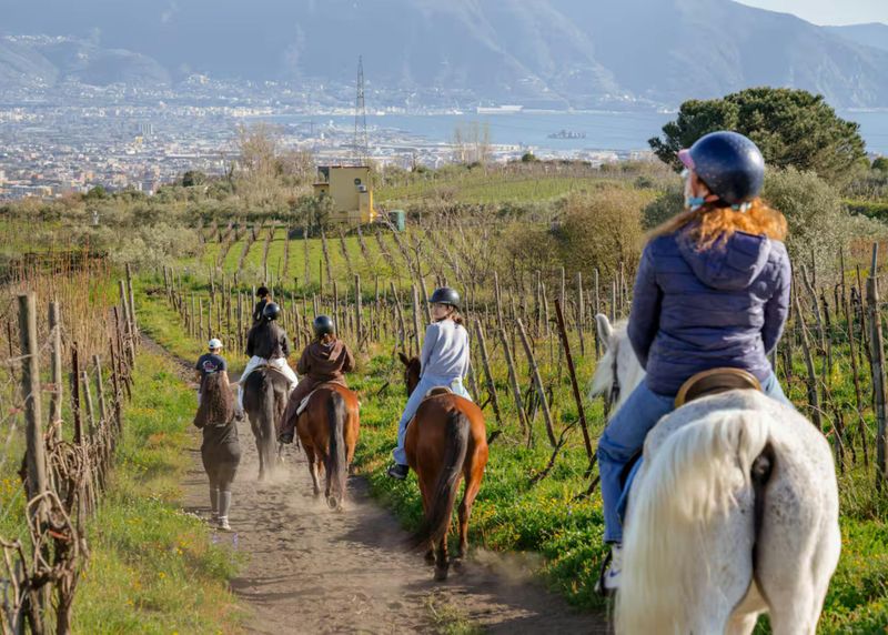 Randonnée à cheval sur le mont Vésuve avec dégustation de vin et repas le midi