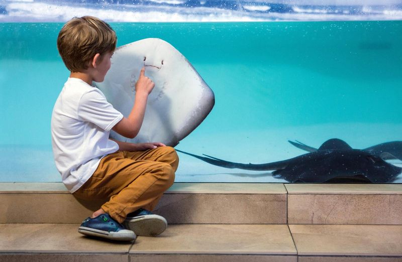 Billet pour l'Aquarium de Palma