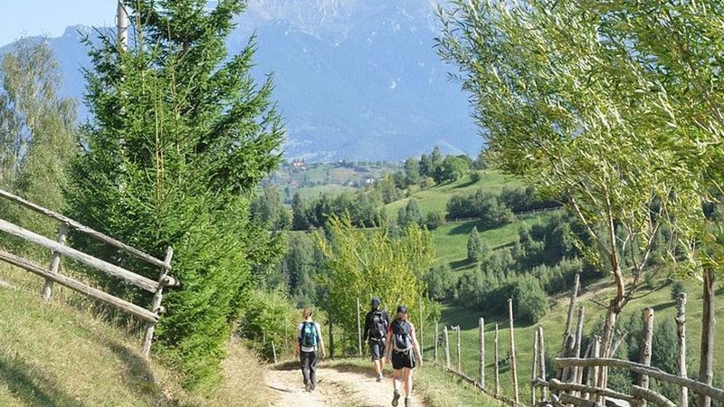 Randonnée privée dans le parc national de Piatra Craiului au départ de Brasov