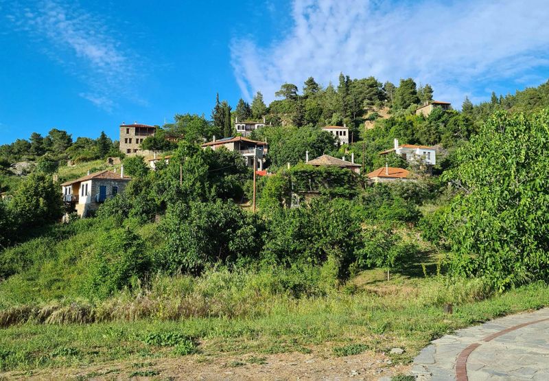 Billet Visite traditionnelle de Sithonie