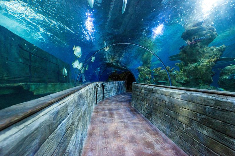 L'aquarium national de Malte - billet