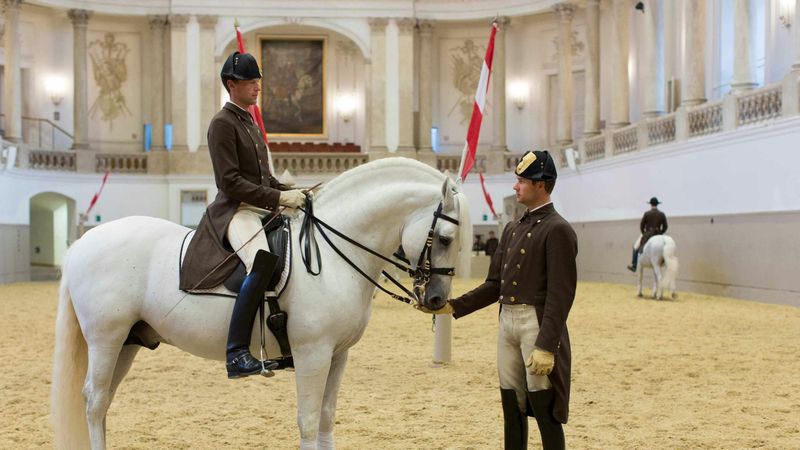 Formation à l'École d'équitation espagnole de Vienne