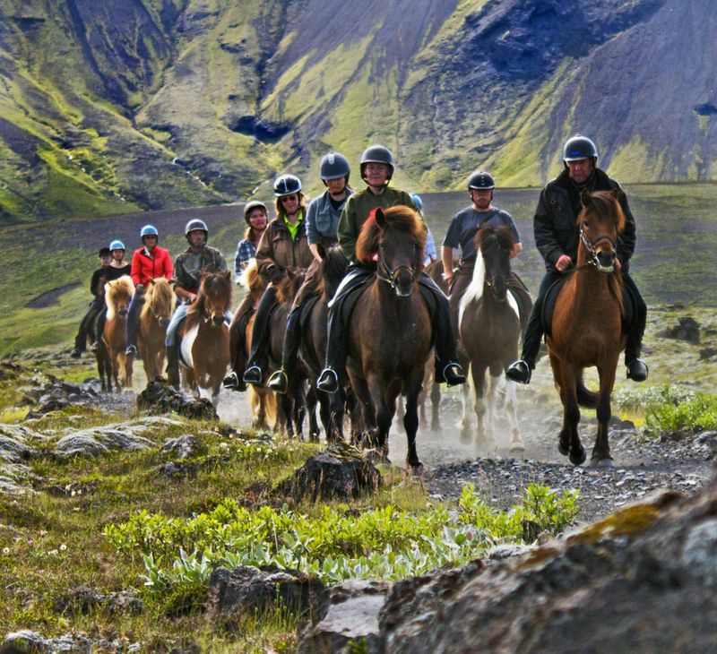Randonnée à cheval avec Gullfoss, Geysir et Þingvellir