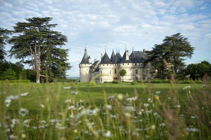 Billets coupe-file pour le Domaine de Chaumont-sur-Loire