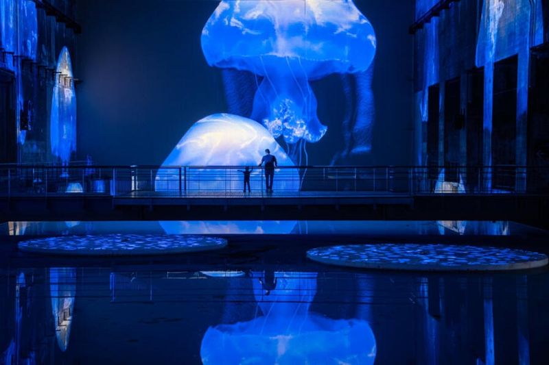 Billet d'entrée pour le centre d'art Les Bassins des Lumières à Bordeaux