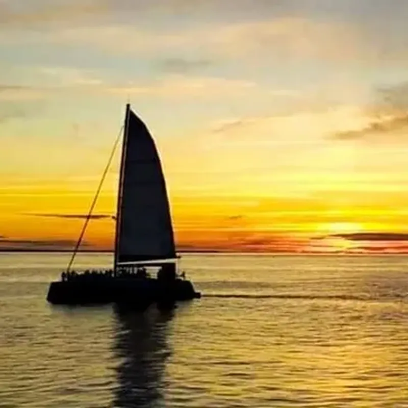 Billet Promenade en Catamaran au Coucher de Soleil à Oléron