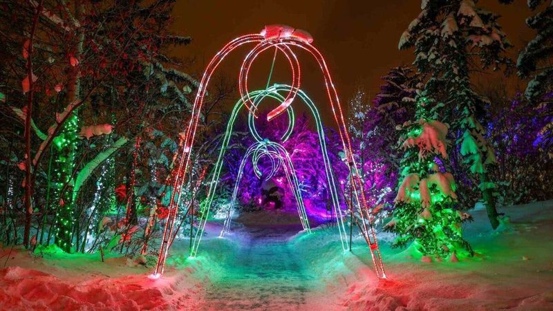 Wilder Institute/Calgary Zoo : ZOOLIGHTS Billet d'entrée