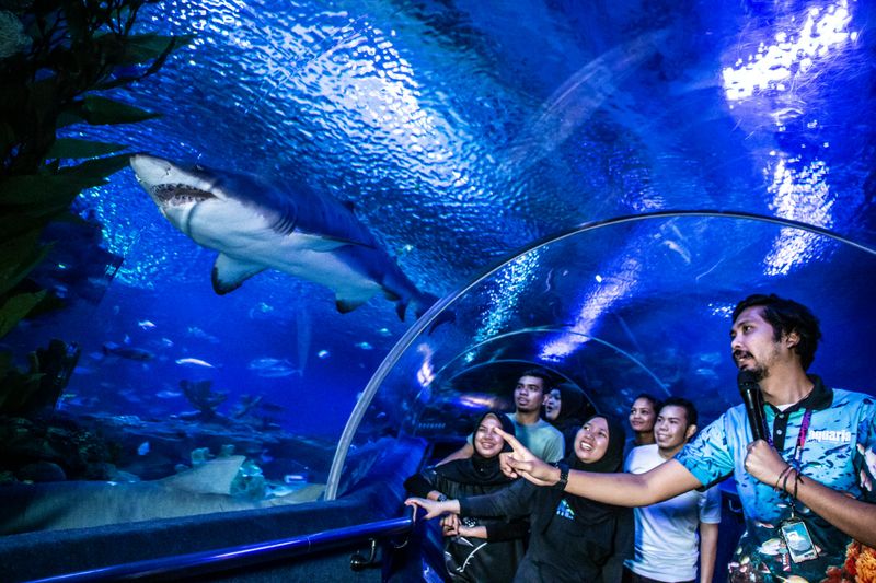 Aquaria KLCC: Billet d'entrée