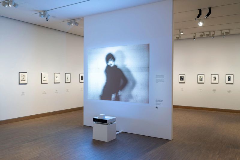 Musée Albertina : Billet d'entrée + Audioguide