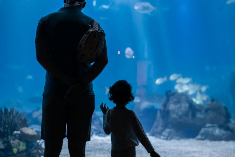 Oceanário de Lisboa : Visite guidée privée