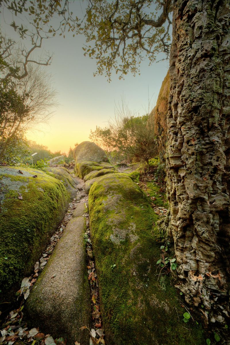Couvent des Capucins: Billet d'entrée