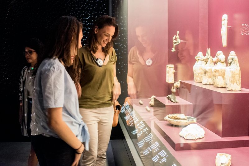 Musée des Confluences: Billet d'entrée