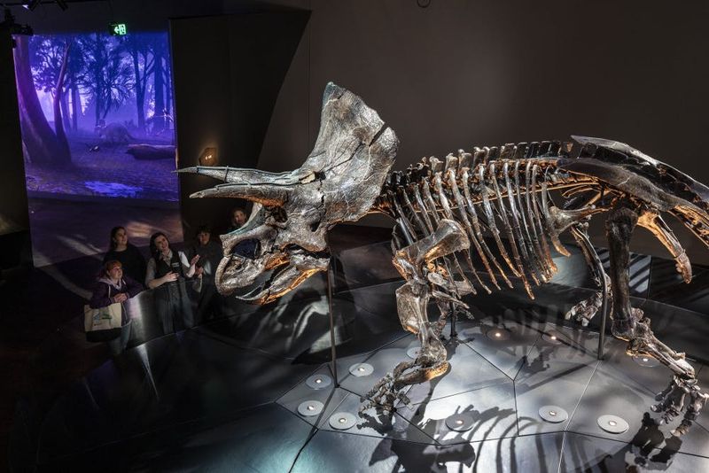 Musée de Melbourne : Visite guidée de la maison des dinosaures