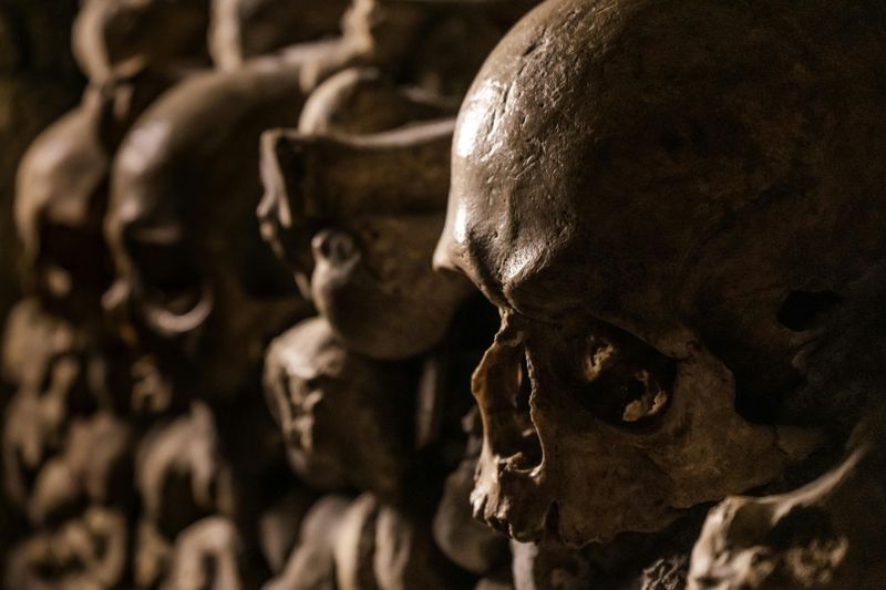 Catacombes de Paris : Billet d'entrée + Audioguide