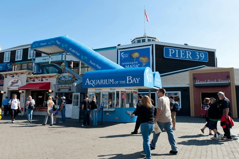 Aquarium of the Bay : Billet d'entrée
