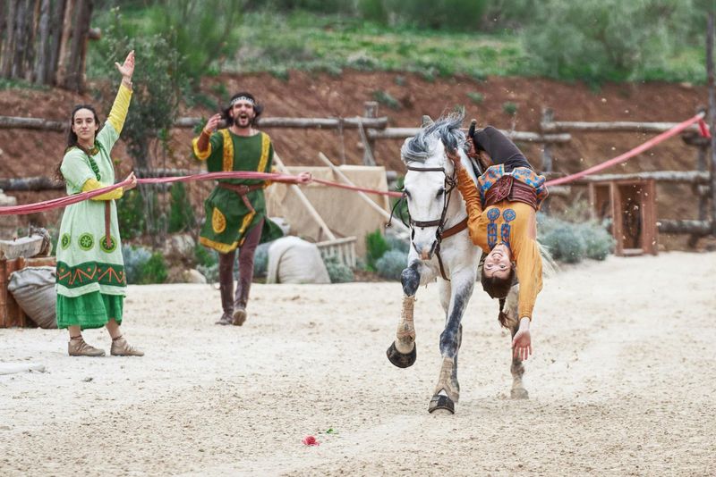 Puy du Fou España : Accès au parc