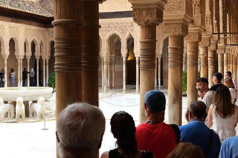 Alhambra & Palais Nasrides : Billet coupe-file + Visite guidée