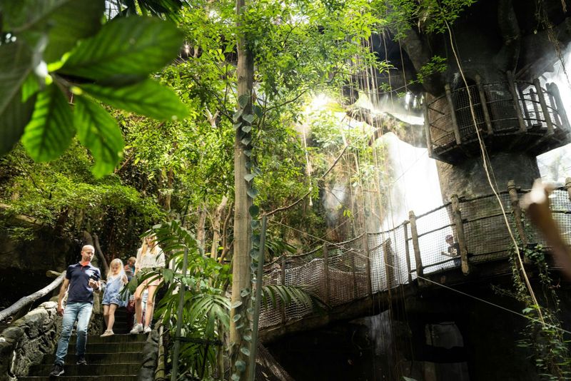 Universeum : Billet d'entrée