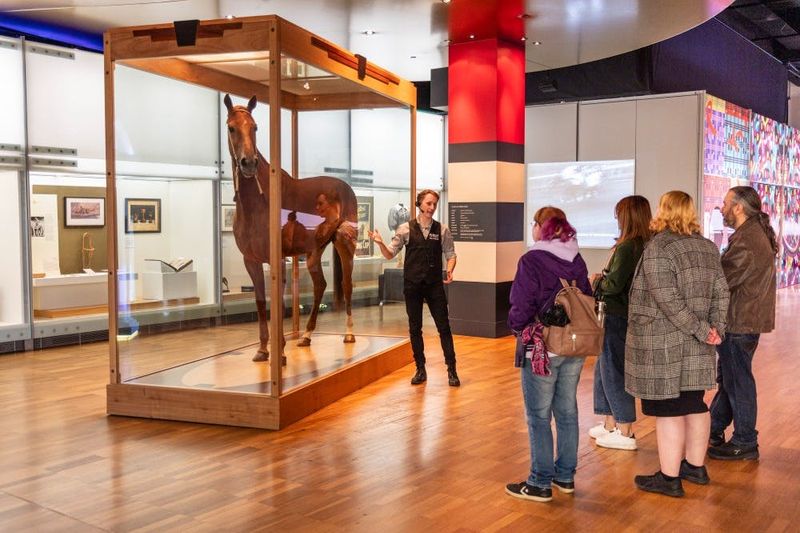 Musée de Melbourne : Visite de l'histoire de Melbourne