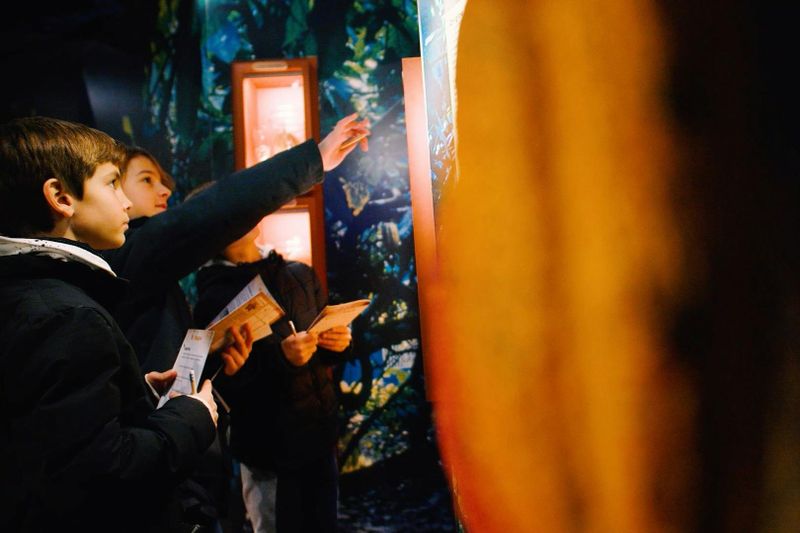 Choco-Story Paris + Musée Grévin + Aquarium de Paris