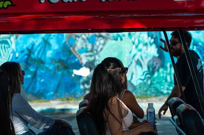 Wynwood Walls Admission et expérience de quartier en buggy