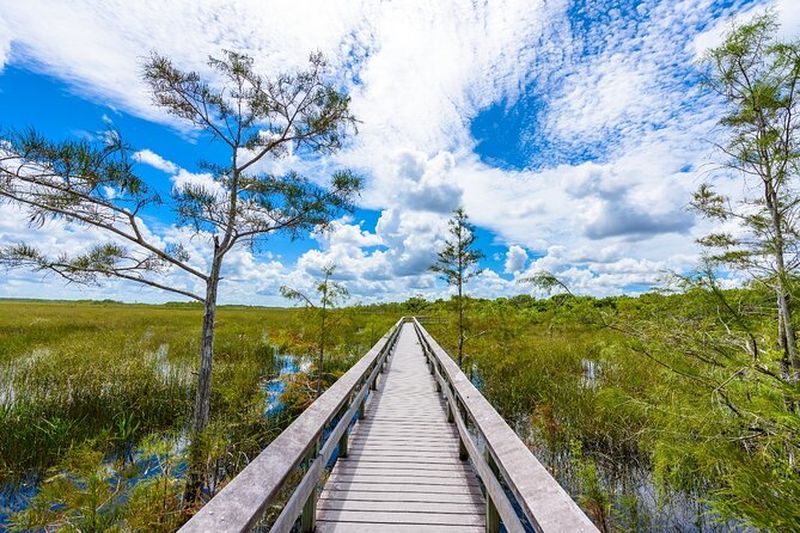 Parc national des Everglades : Visite audio en voiture autonome
