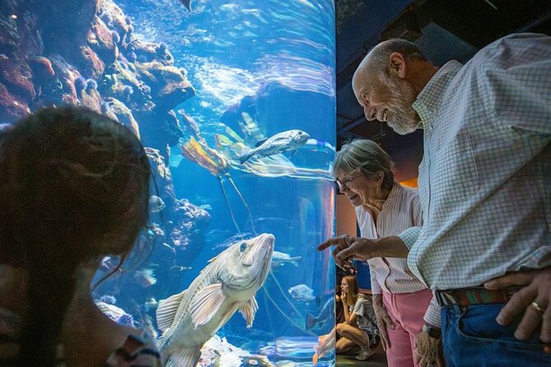 Billet d'admission générale de l'Académie des sciences de Californie