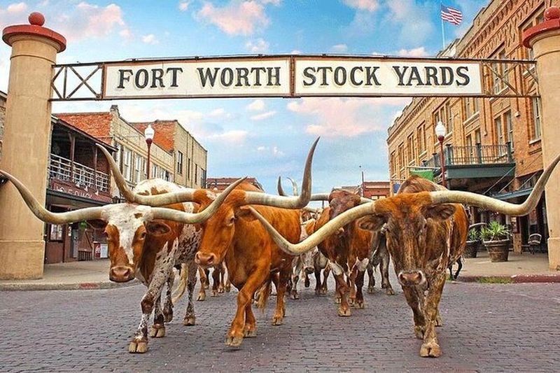 Visite combinée des points forts de Fort Worth et du ranch Southfork