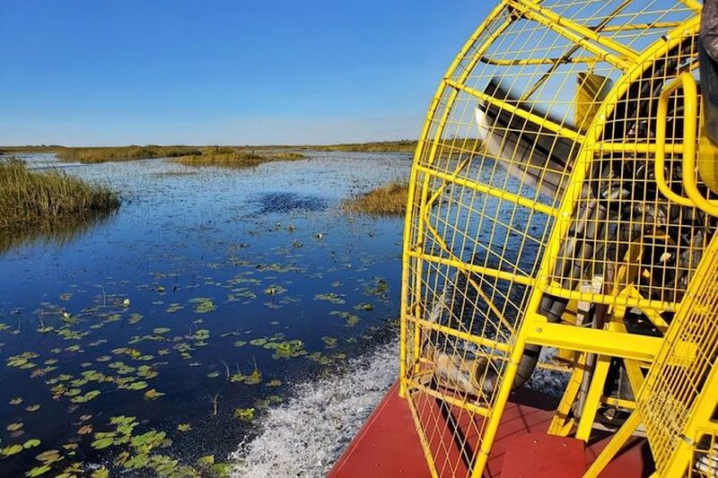 Excursion d'une demi-journée dans le parc national des Everglades et promenade en bateau aérien d'une heure