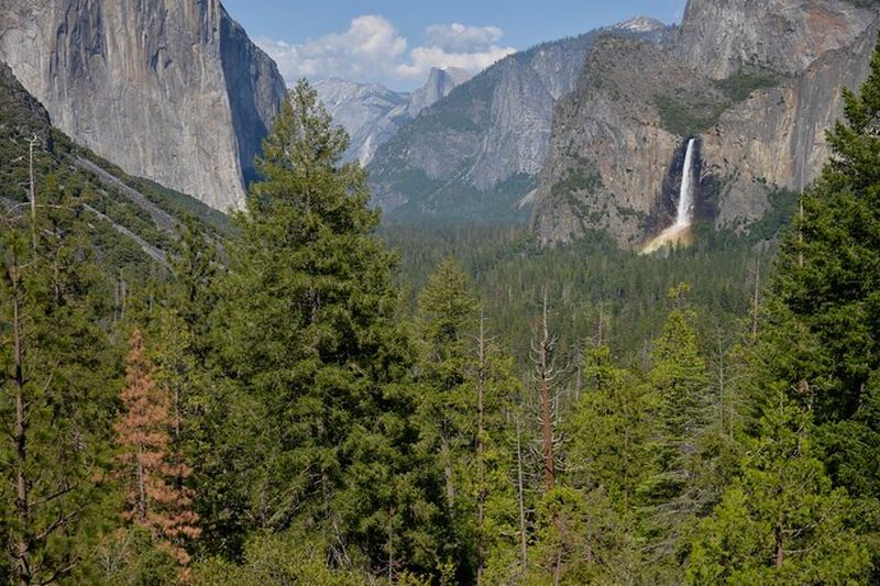 Visite privée de 2 jours au parc national de Yosemite