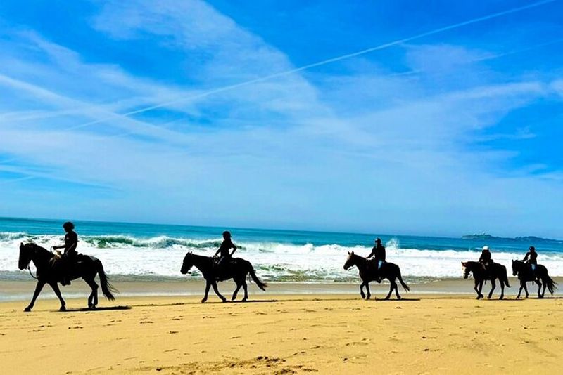 Billets pour une promenade à cheval et la prison d'Alcatraz