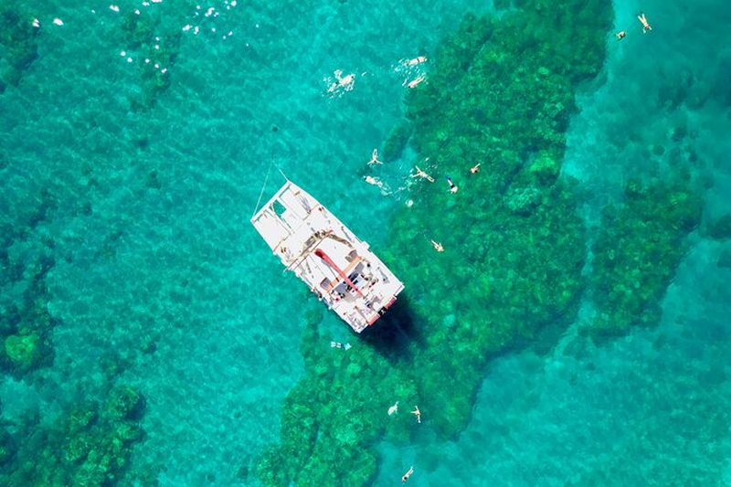 Découvrez la magie de la ville des tortues de Coral Garden - Port de Maalaea