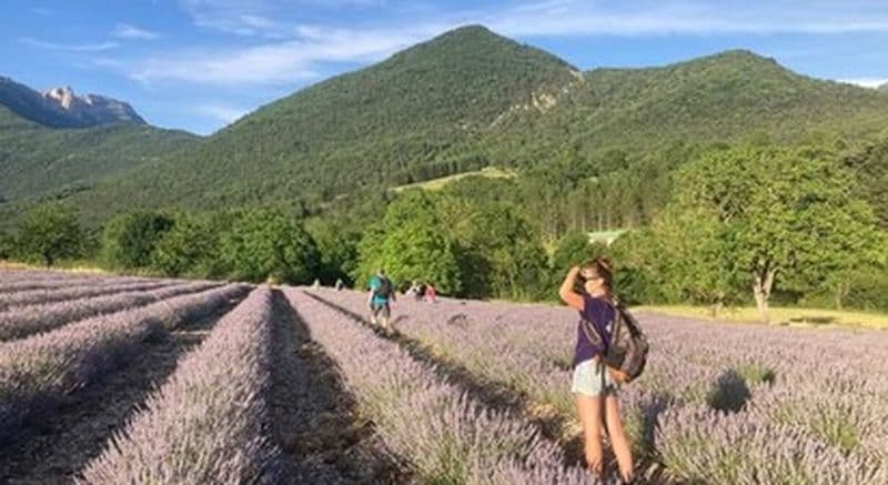 Billet Randonnée guidée à la découverte de la lavande - Massif du Vercors
