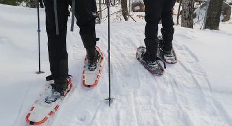 Billet Randonnée Aventure et nuit en igloo dans le Parc National des Cévennes
