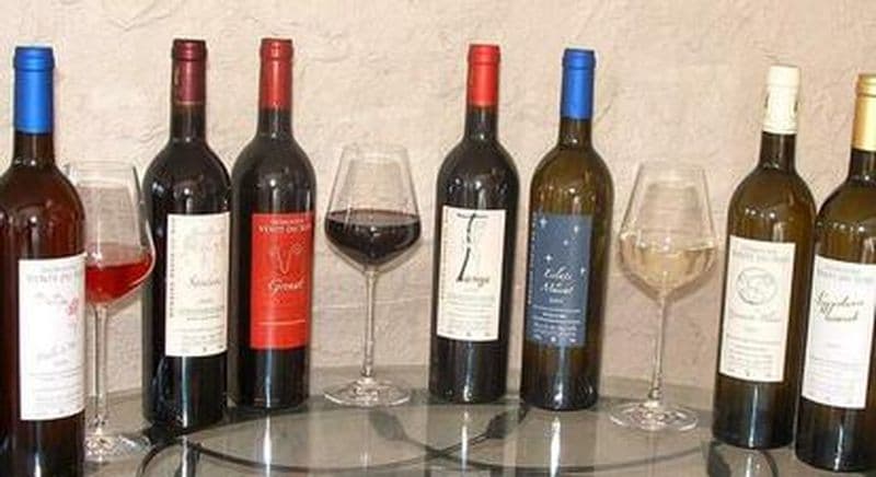 Billet Dégustation de vin nature à Vingrau près de Rivesaltes