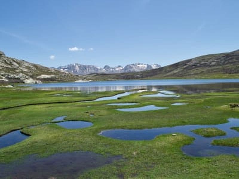 Billet Randonnée guidée au lac de Nino sur le GR20 dans le Parc naturel régional de Corse