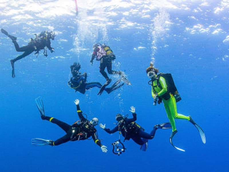Billet Plongées aventure et déjeuner à Marettimo, îles Égades